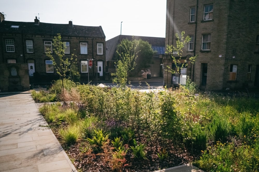 Planting and trees in Victoria Gardens.