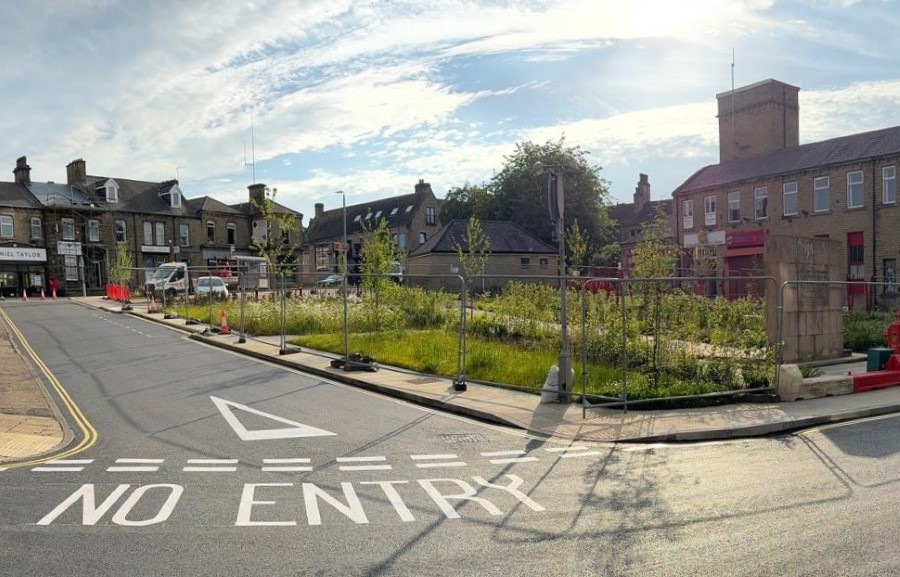 Temporary barriers with new planting and trees behind them. Newly laid road surface and road markings along Town Hall Street.
